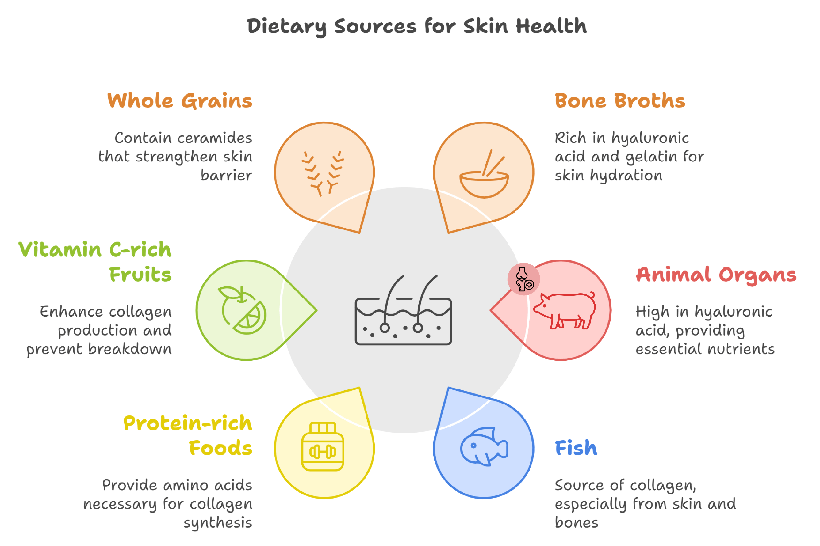 The Ultimate Guide to Supplementing Hyaluronic Acid, Collagen, and